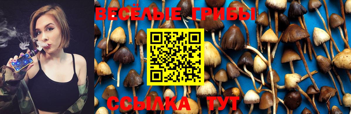 Родники  Галлюциногенные грибы ЛСД  Галлюциногенные грибы Psilocybine cubensis  Вход с VPN 